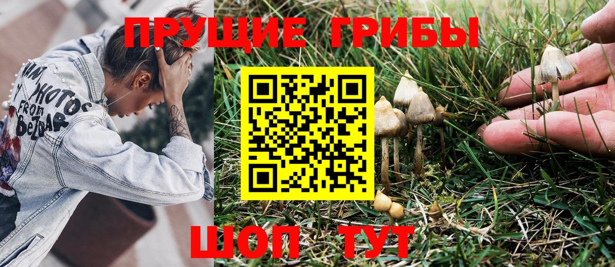 Ахтубинск  Галлюциногенные грибы мицелий  Вход с VPN 